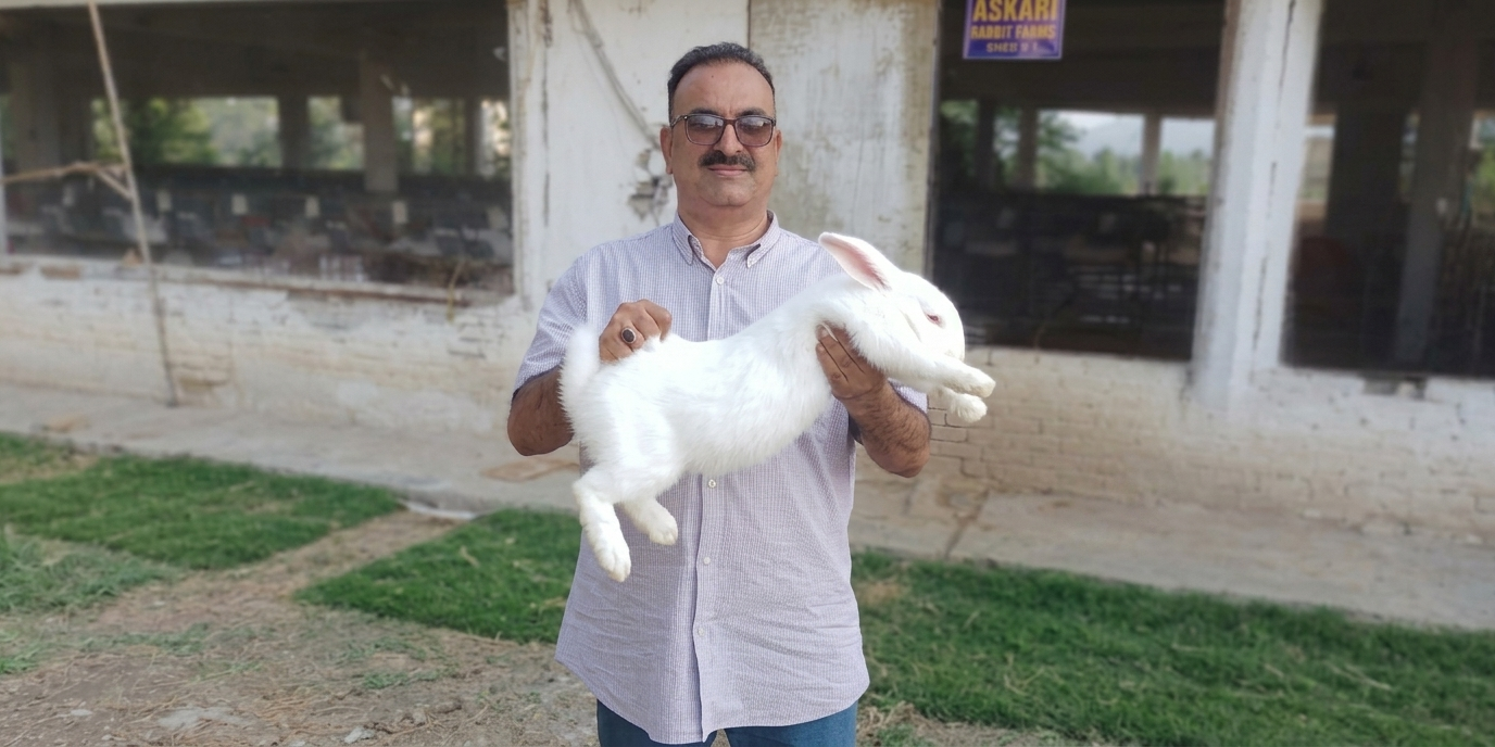 Three Rabbits